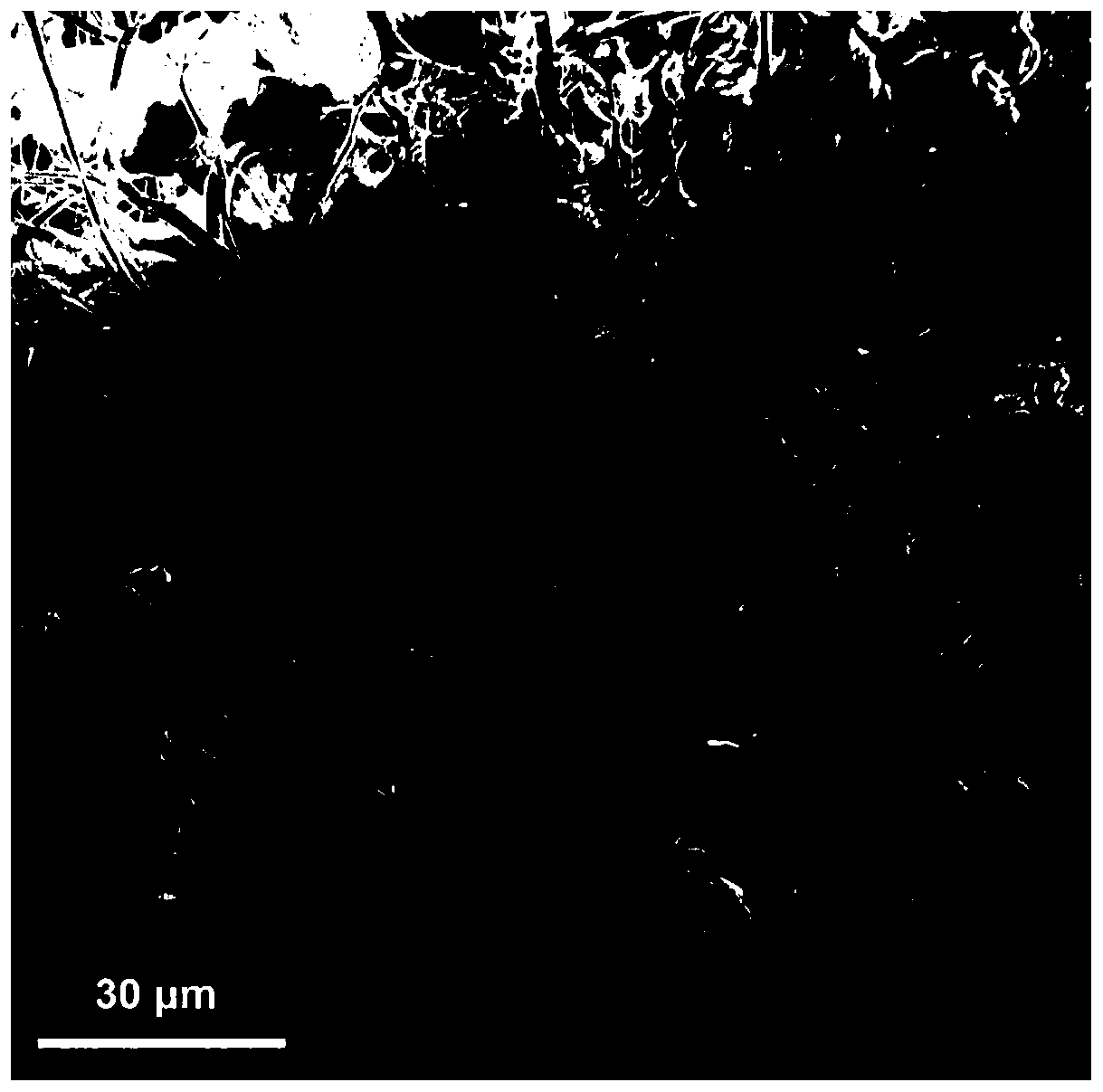 Silicate clay modified hemostatic material and preparation method thereof