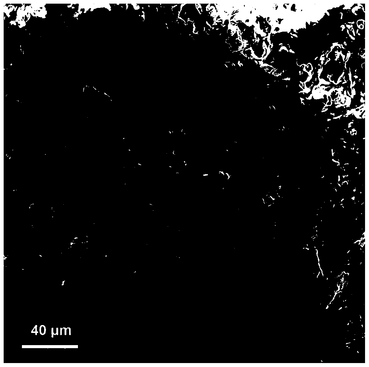 Silicate clay modified hemostatic material and preparation method thereof