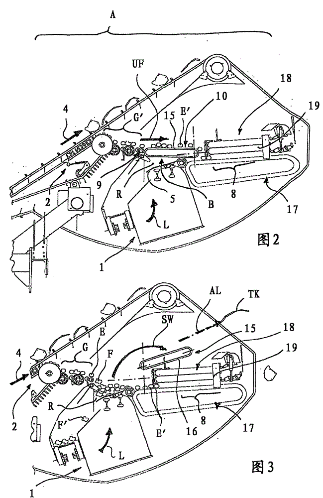 Separator device for a potato harvester