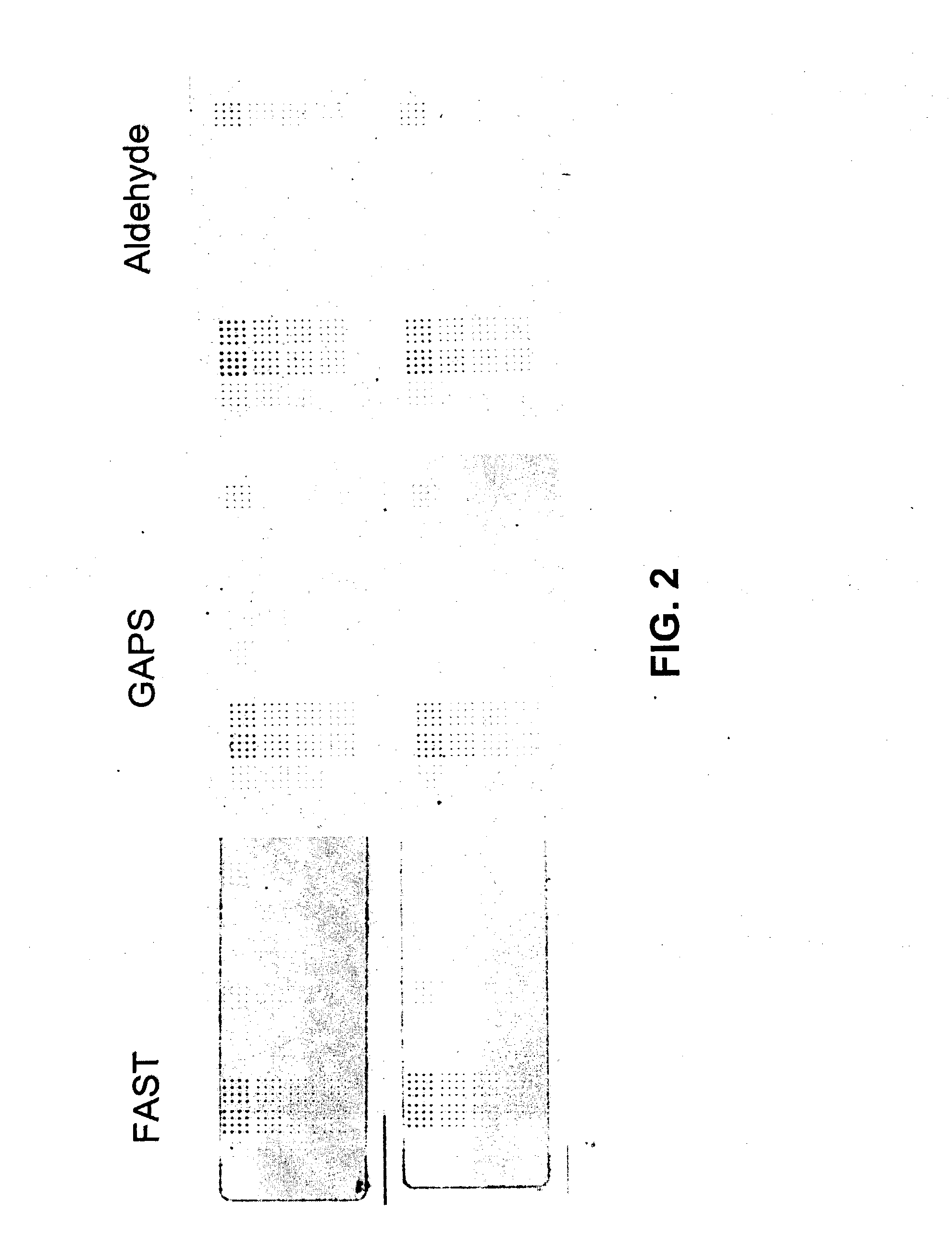 Methods for conducting assays for enzyme activity on protein microarrays