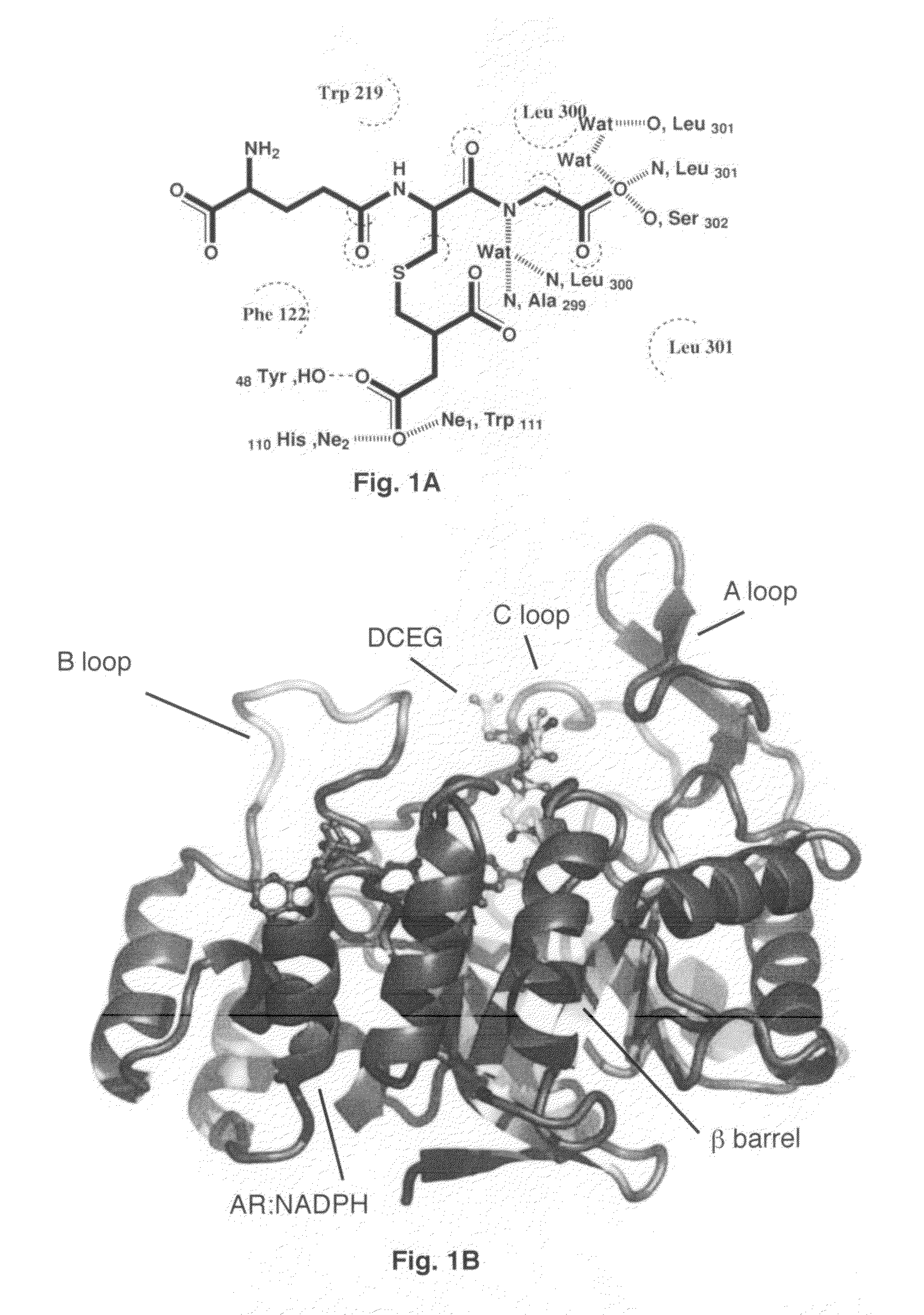 Treatment of cancer with aldose reductase inhibitors