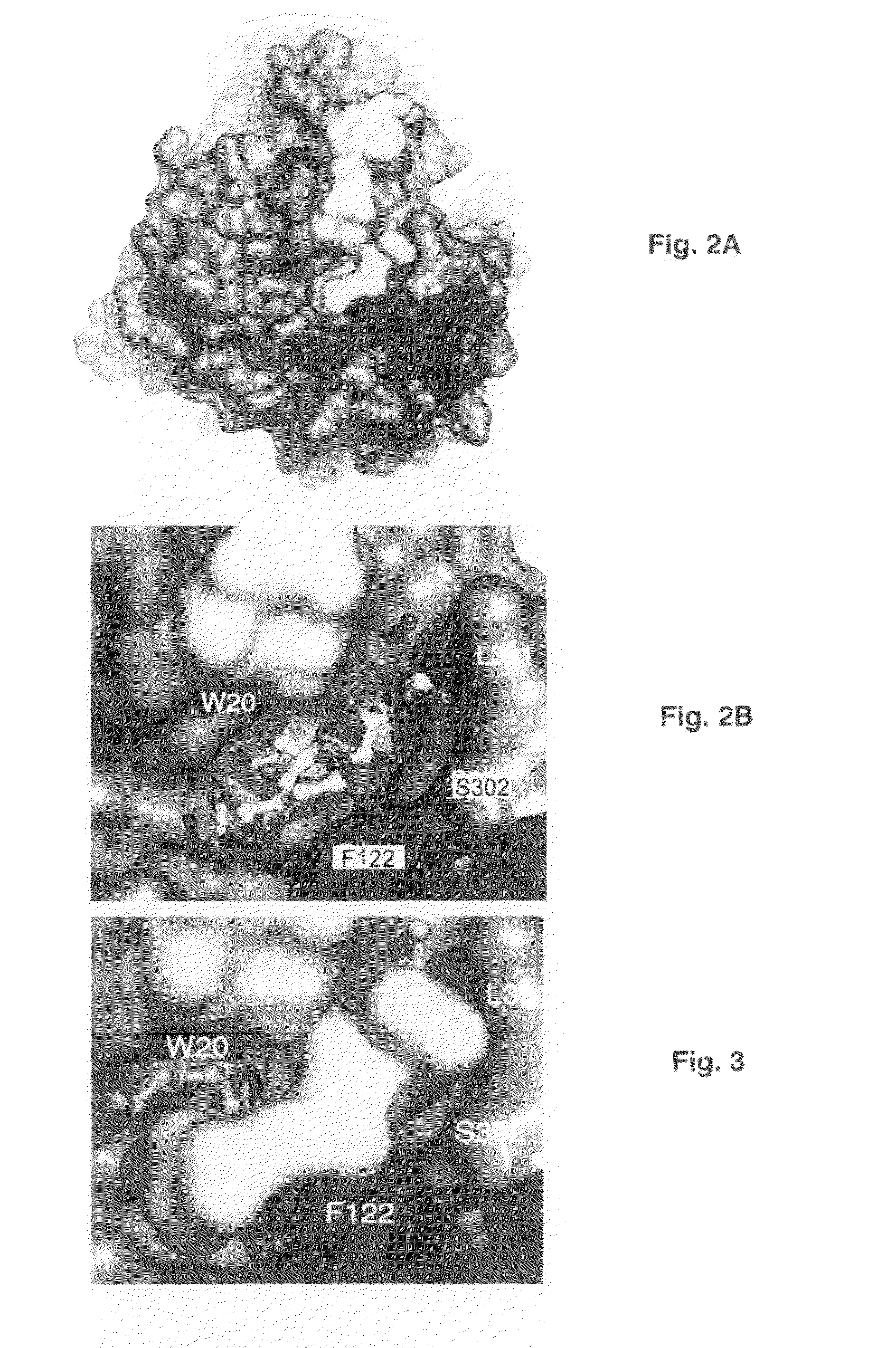 Treatment of cancer with aldose reductase inhibitors