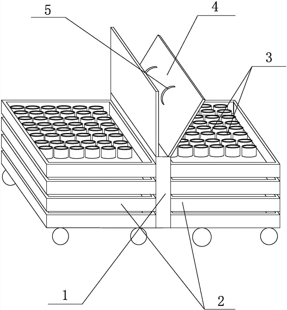 Transporting device capable of improving freshness of fresh bamboo shoots