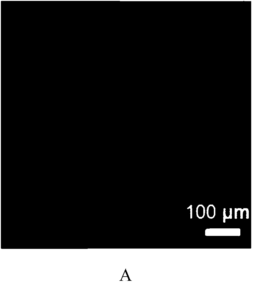 Photonic crystal microsphere as well as preparation method and application thereof