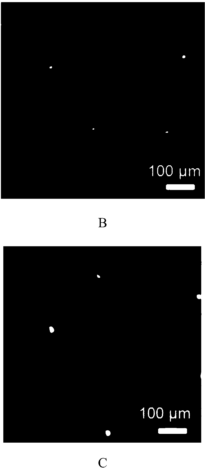 Photonic crystal microsphere as well as preparation method and application thereof