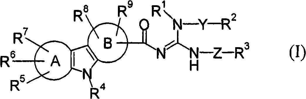 Acylguanidine derivative