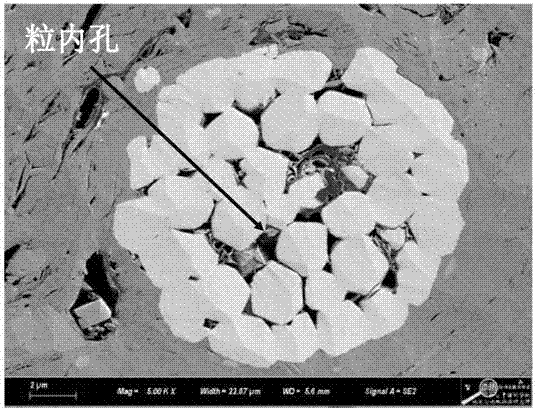 Method for evaluating evolution of different types of pores in shale