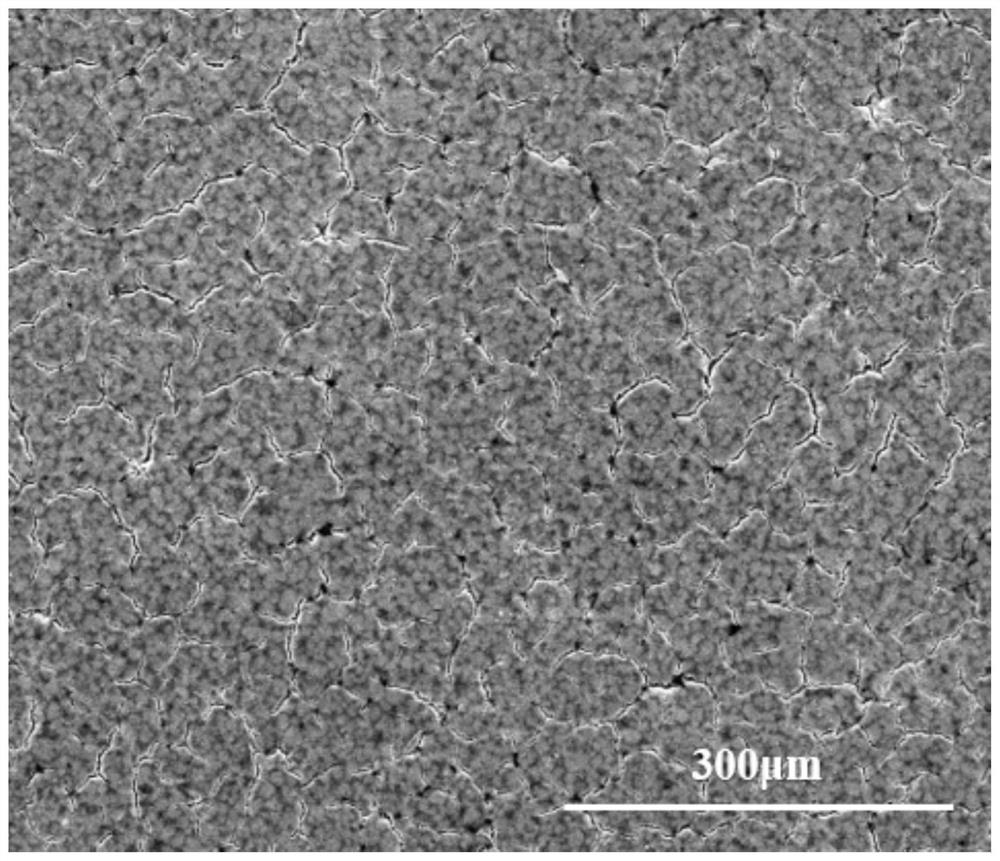 Flawless proton exchange membrane directly coated with catalyst as well as preparation method and application of flawless proton exchange membrane