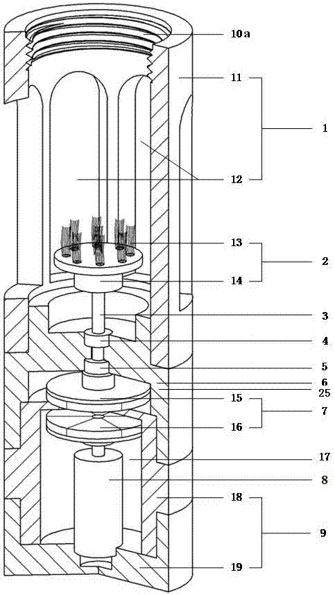 An automatic scrubbing device for dissolved oxygen sensor