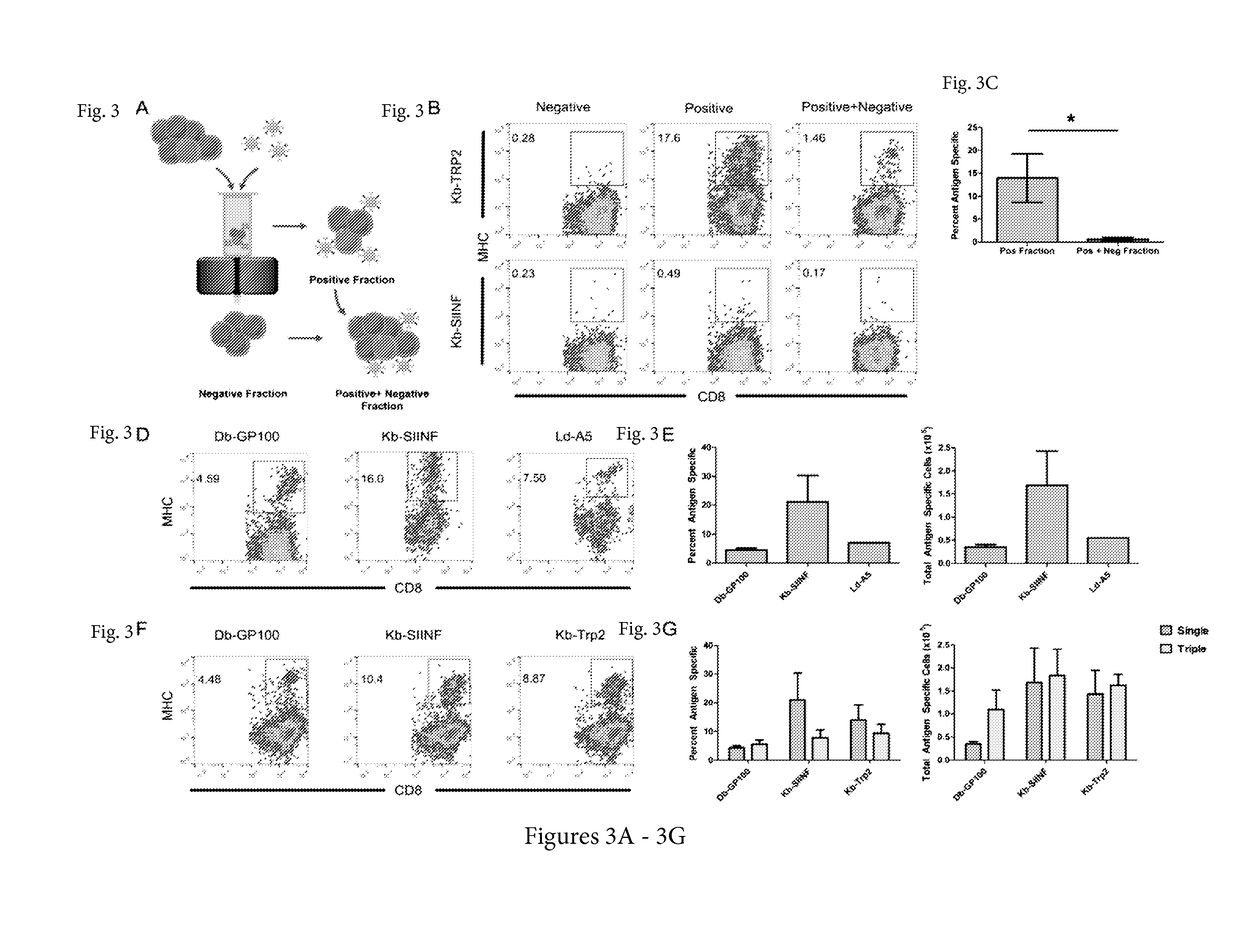 Reagents and methods for identifying, enriching, and/or expanding antigen-specific t cells