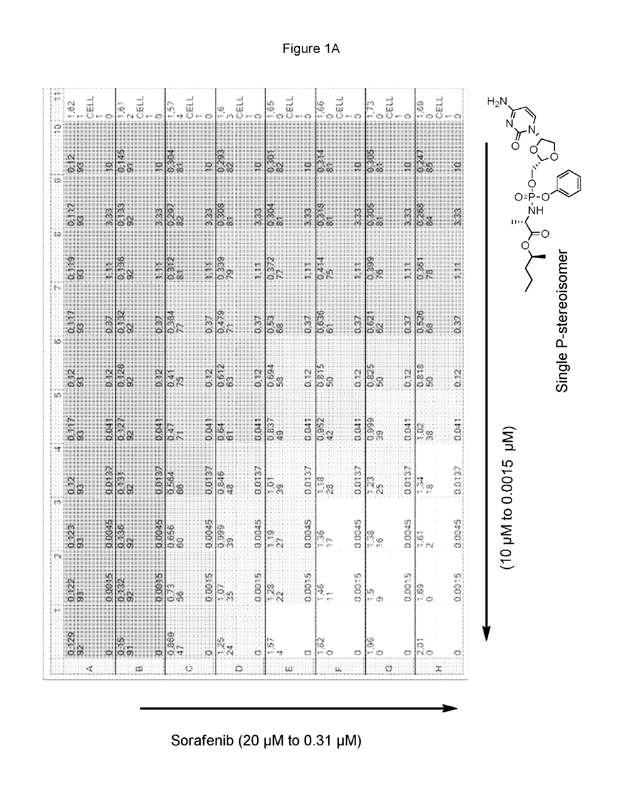 Combination therapy with sorafenib or regorafenib and a phosphoramidate prodrug of troxacitabine