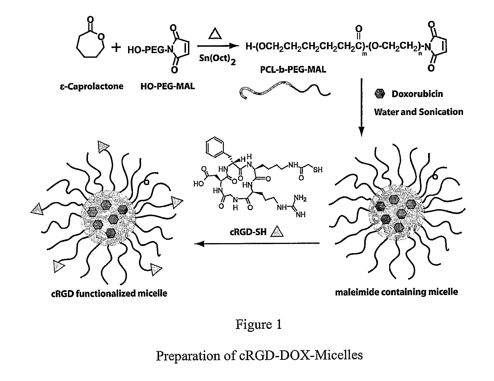 Dual Function Polymer Micelles