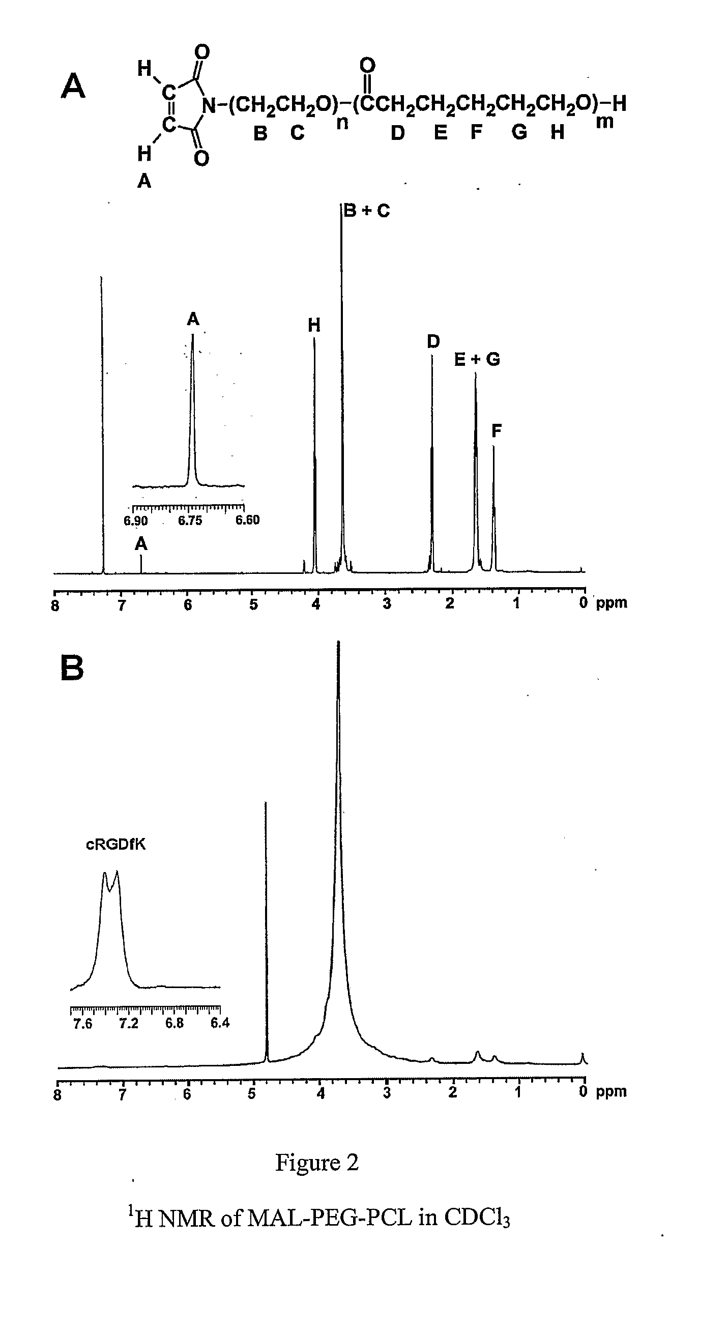 Dual Function Polymer Micelles