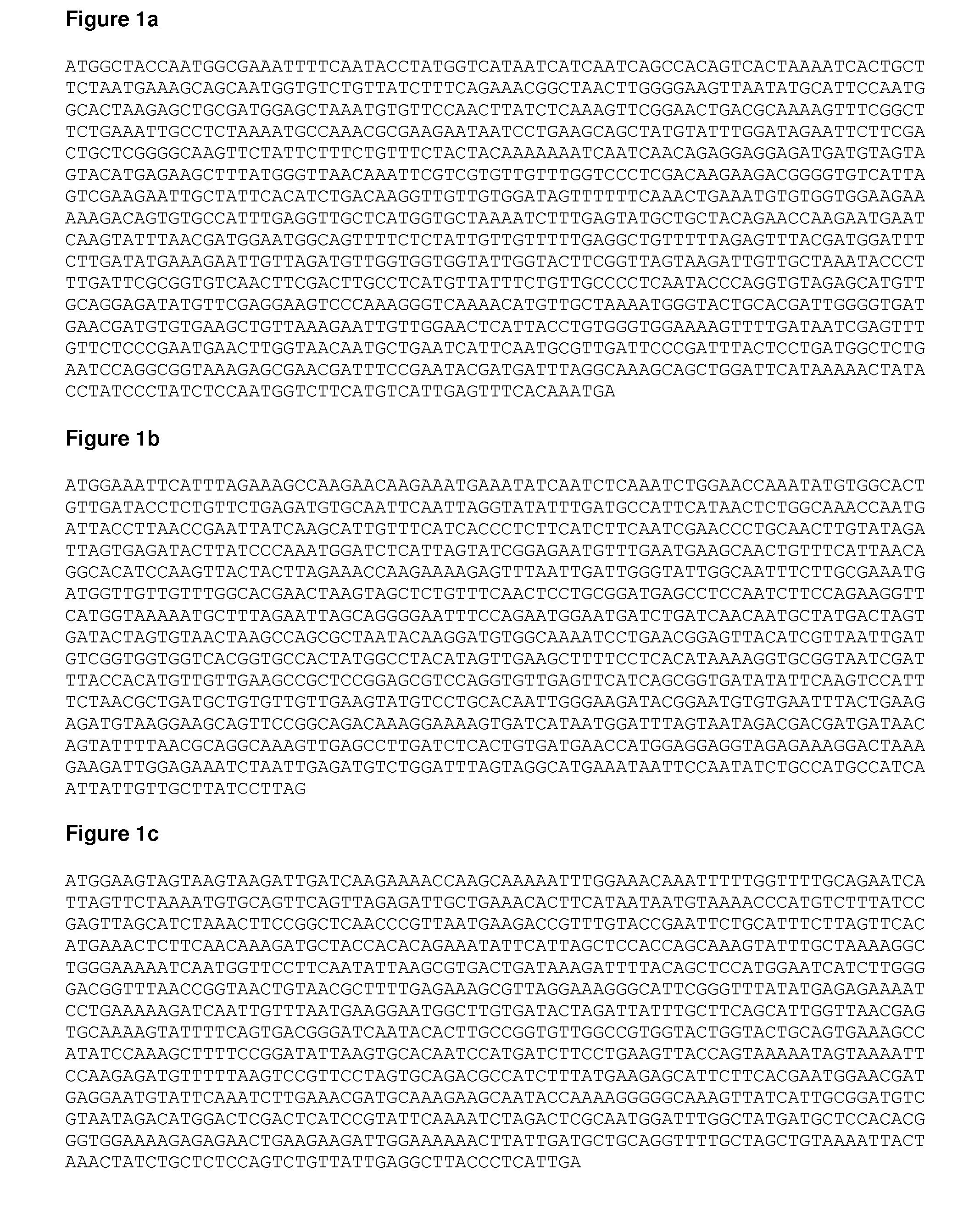 Methyltransferase nucleic acids and polypeptides