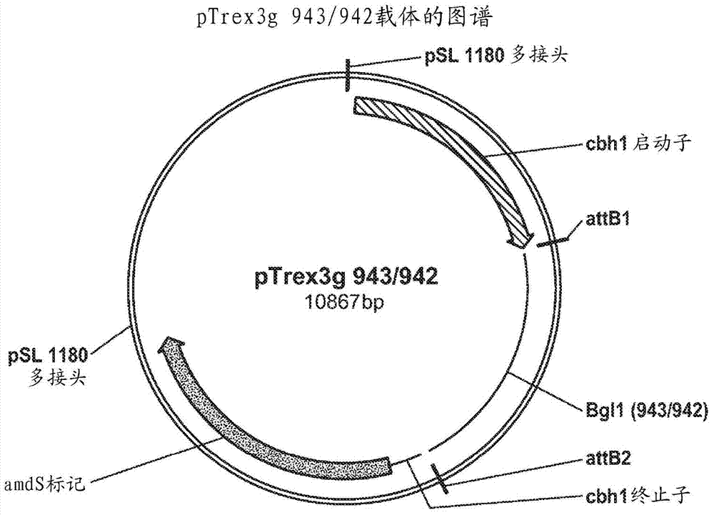 Beta-glucosidase from neurospora crassa