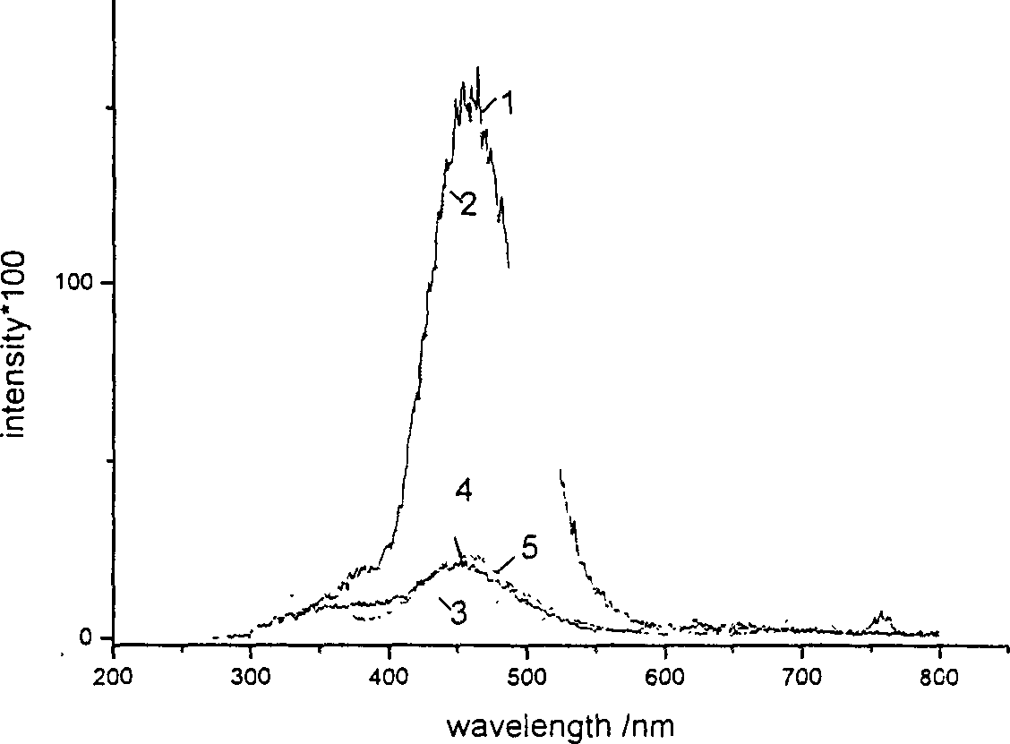 Raveearth multi-element compounding material light conversion agent with ecological and phycological characteristics and preparation process thereof