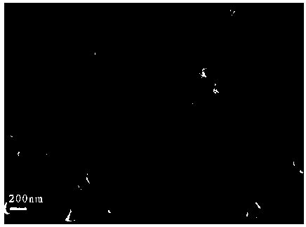 Preparation and application of biomass carbon coated cobalt sulfide-cobalt octasulfide composite material