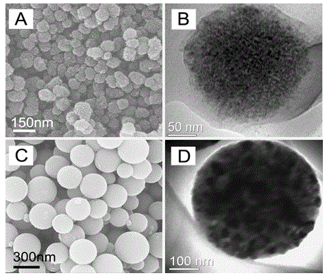 Mesoporous titanium dioxide and preparation method thereof and application thereof