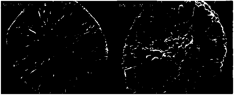 Ternary precursor with controllable crystal structure, positive electrode material and preparation method of positive electrode material