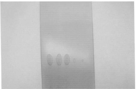 Synthetic method of pholcodine