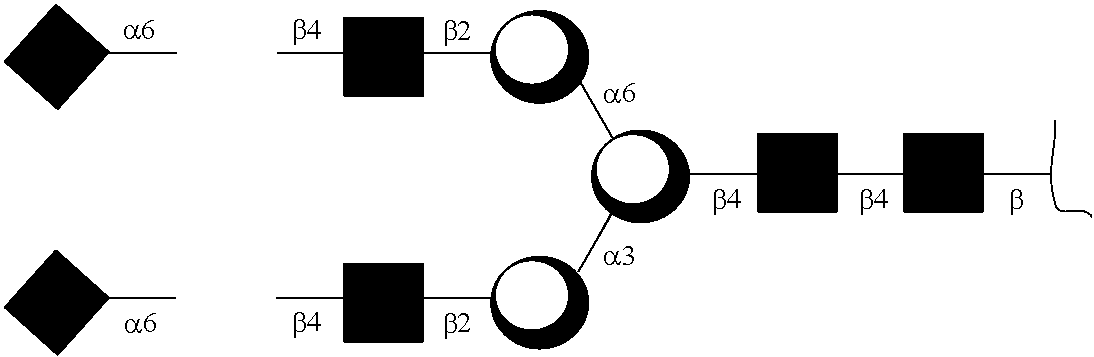 Anti-tnf-alpha glycoantibodies and uses thereof