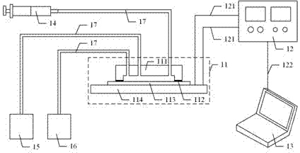 Microfluidic chip system integrating cell sorting and detection