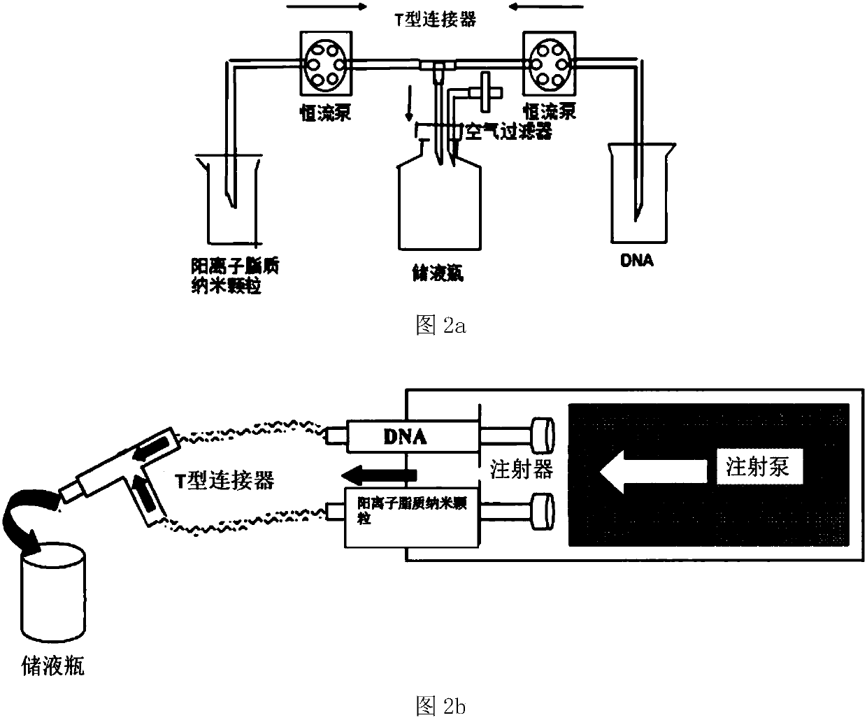 Positive ion lipid nanometer particle/DNA compound and preparation method thereof