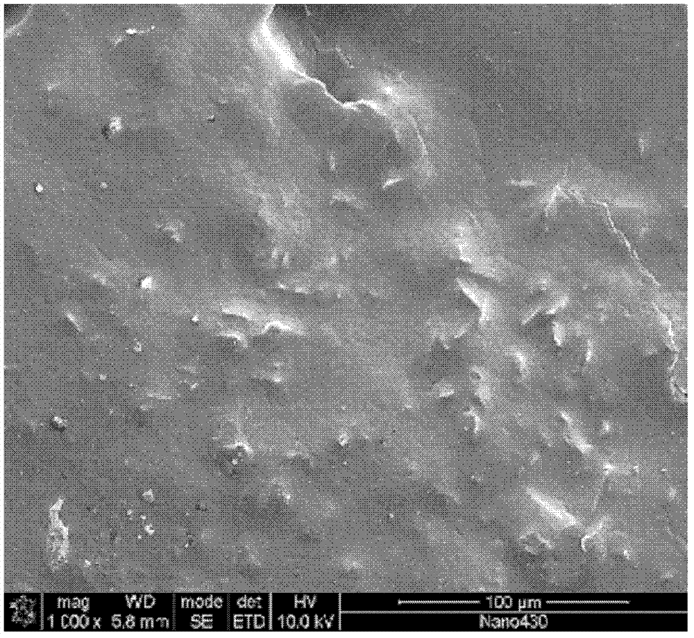 Medicinal slow release inserted slice possessing layer-by-layer assembly mosaic structure