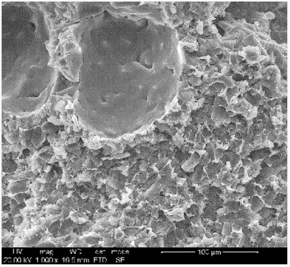 Medicinal slow release inserted slice possessing layer-by-layer assembly mosaic structure