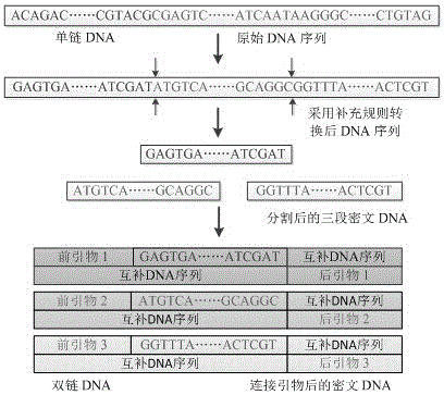 DNA coding based encryption system and encryption method