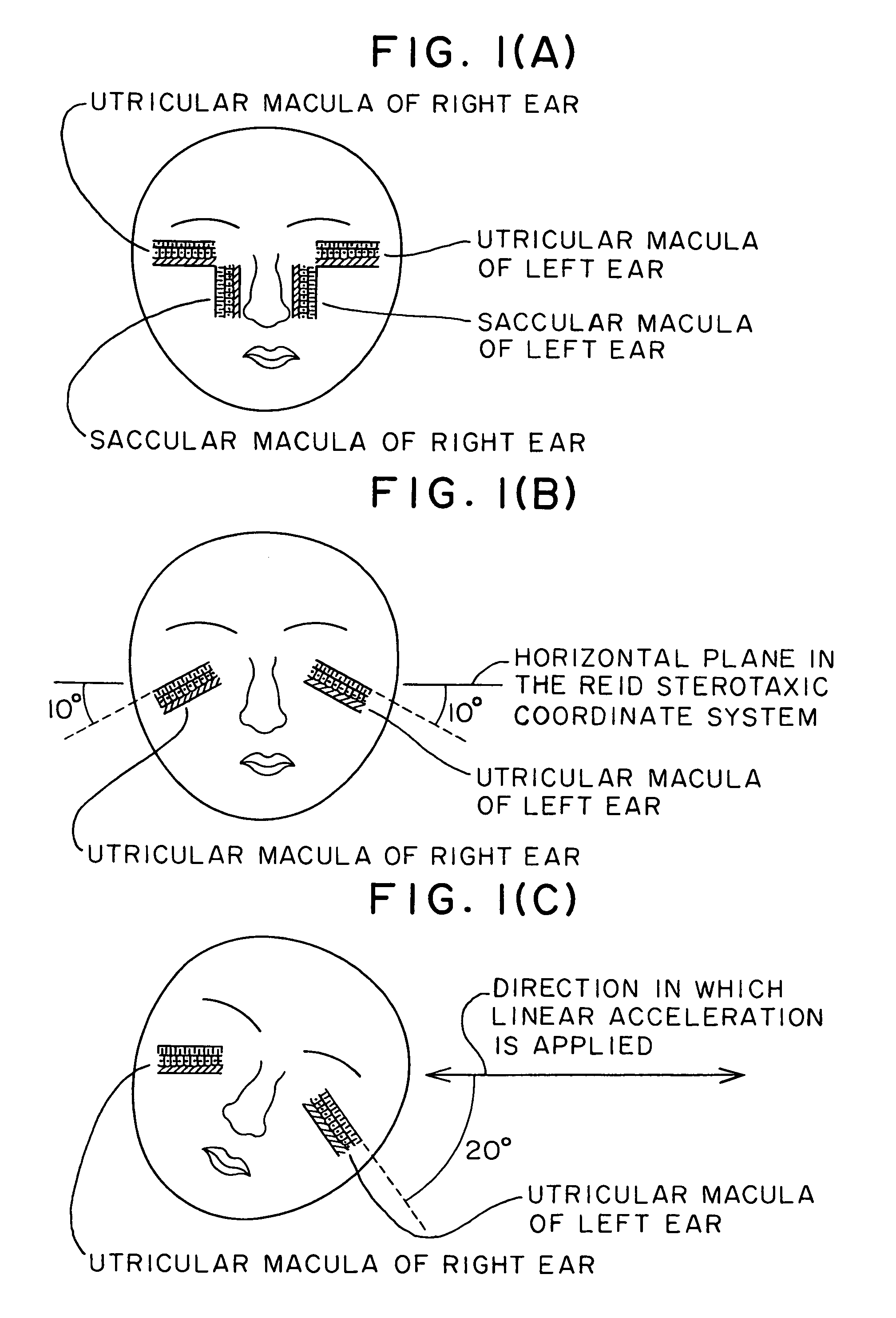 Methods and apparatuses for stimulating otolith organs by linear acceleration