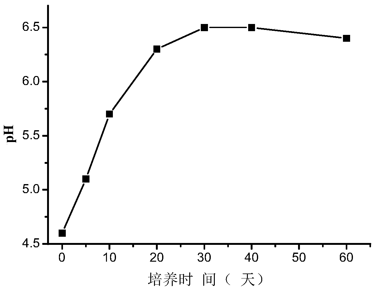 A kind of acidic soil conditioner and its preparation method and application