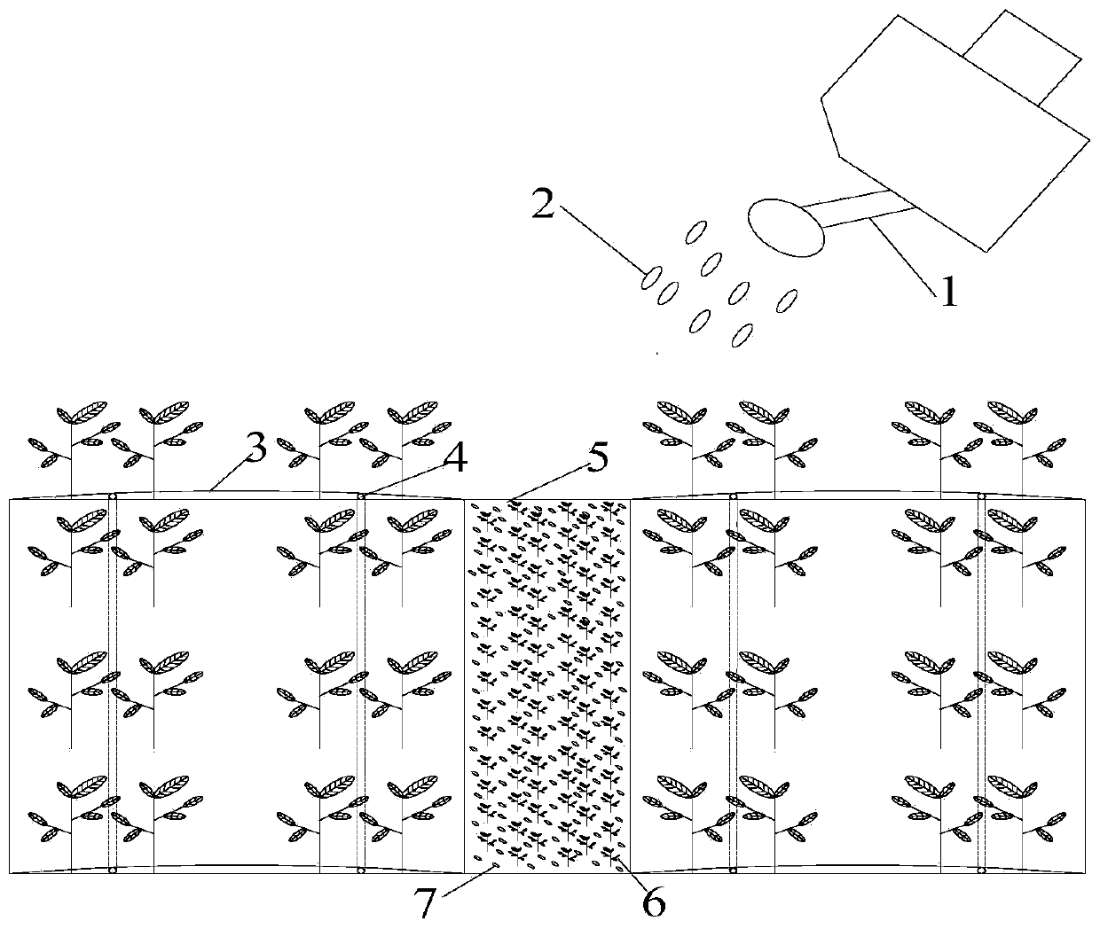 Mulched drip irrigation salinized cotton field ecological conditioning method