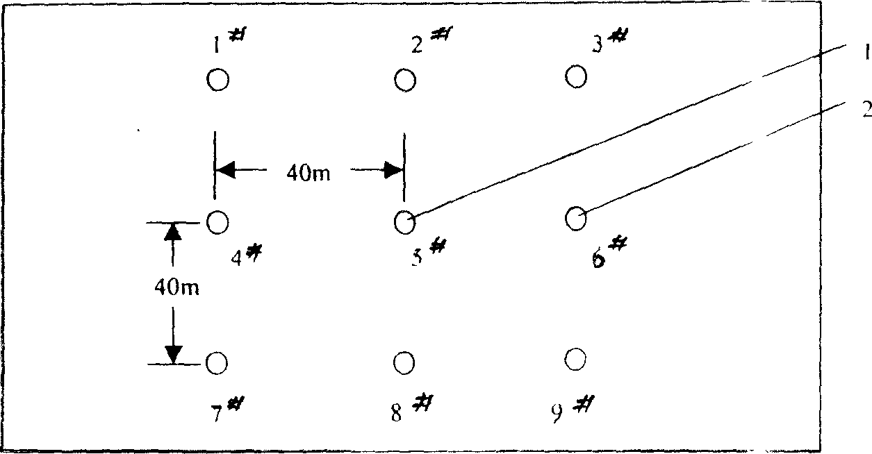 Method for extracting oil and gas by convection heating of oil shale