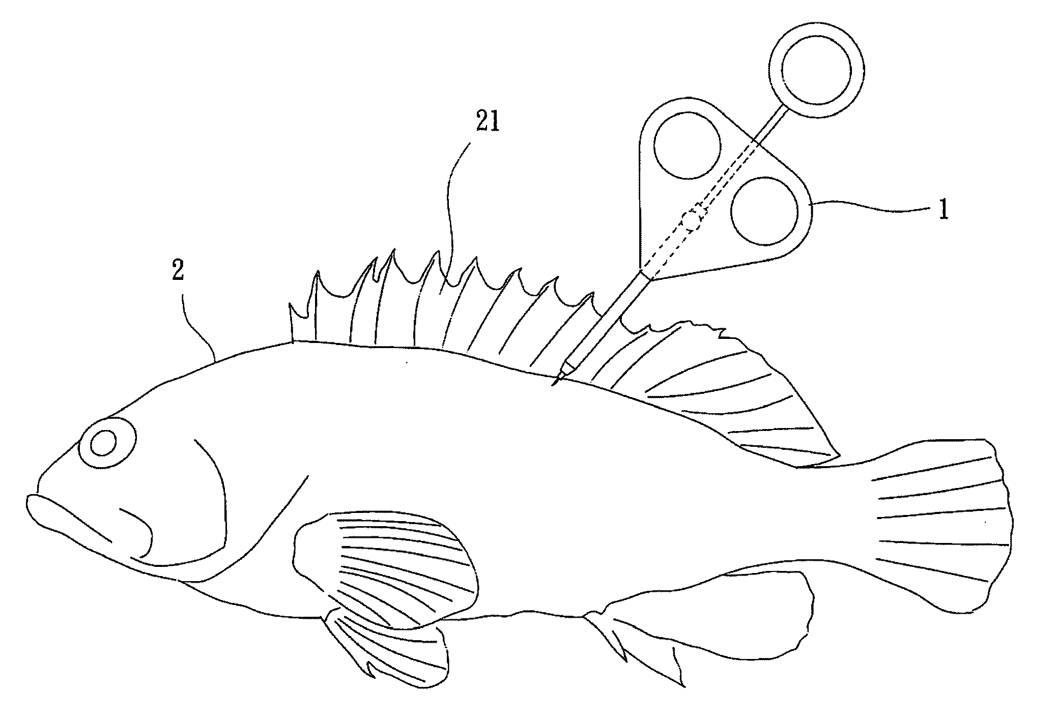 Artificial decapeptide for inducing vitellogenesis in fish