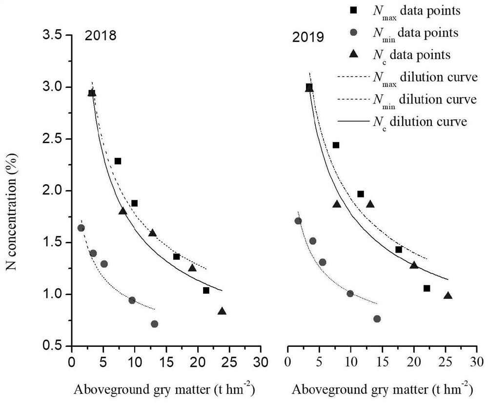 Wheat critical nitrogen concentration dilution curve model and application thereof