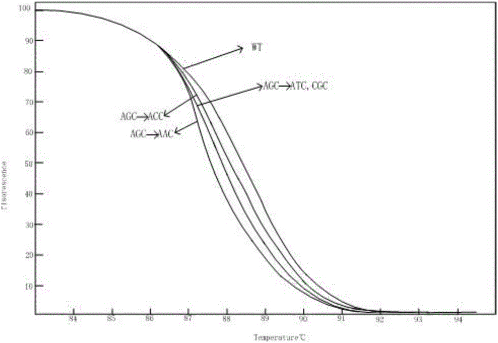 Kit for detecting drug resistance of mycobacterium tuberculosis based on HRM technology and primers thereof