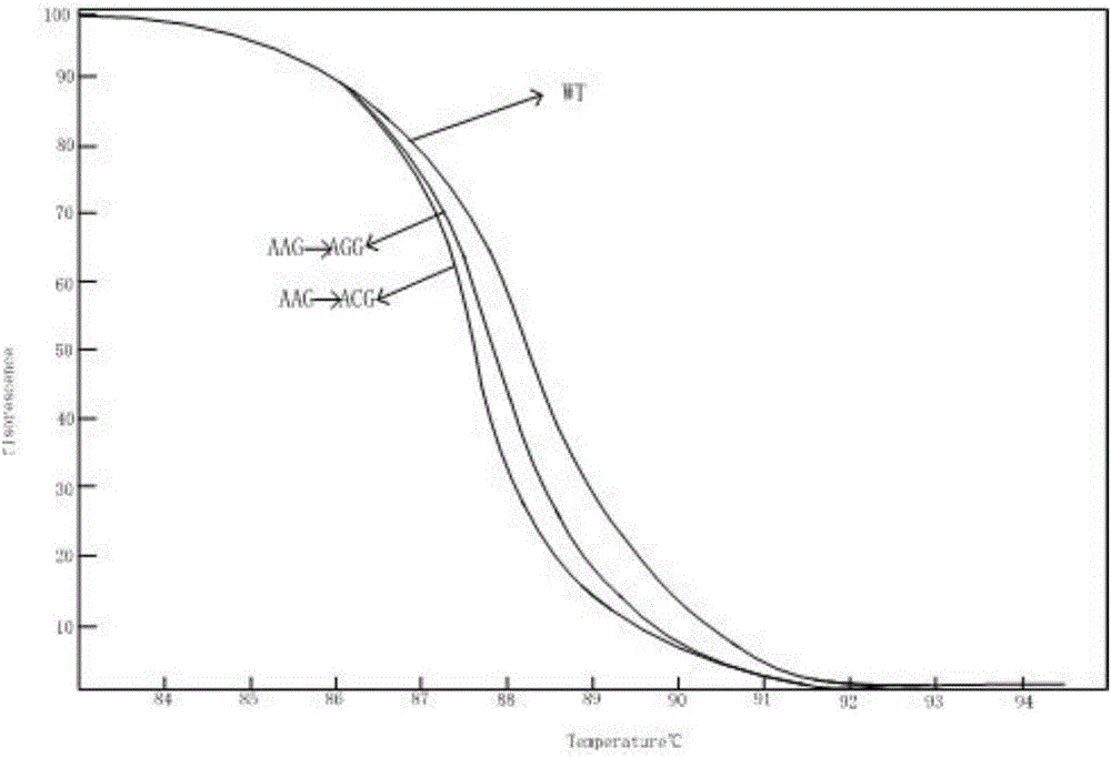 Kit for detecting drug resistance of mycobacterium tuberculosis based on HRM technology and primers thereof