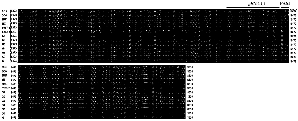 Method for breeding soybean mosaic virus (SMV) resistant soybeans