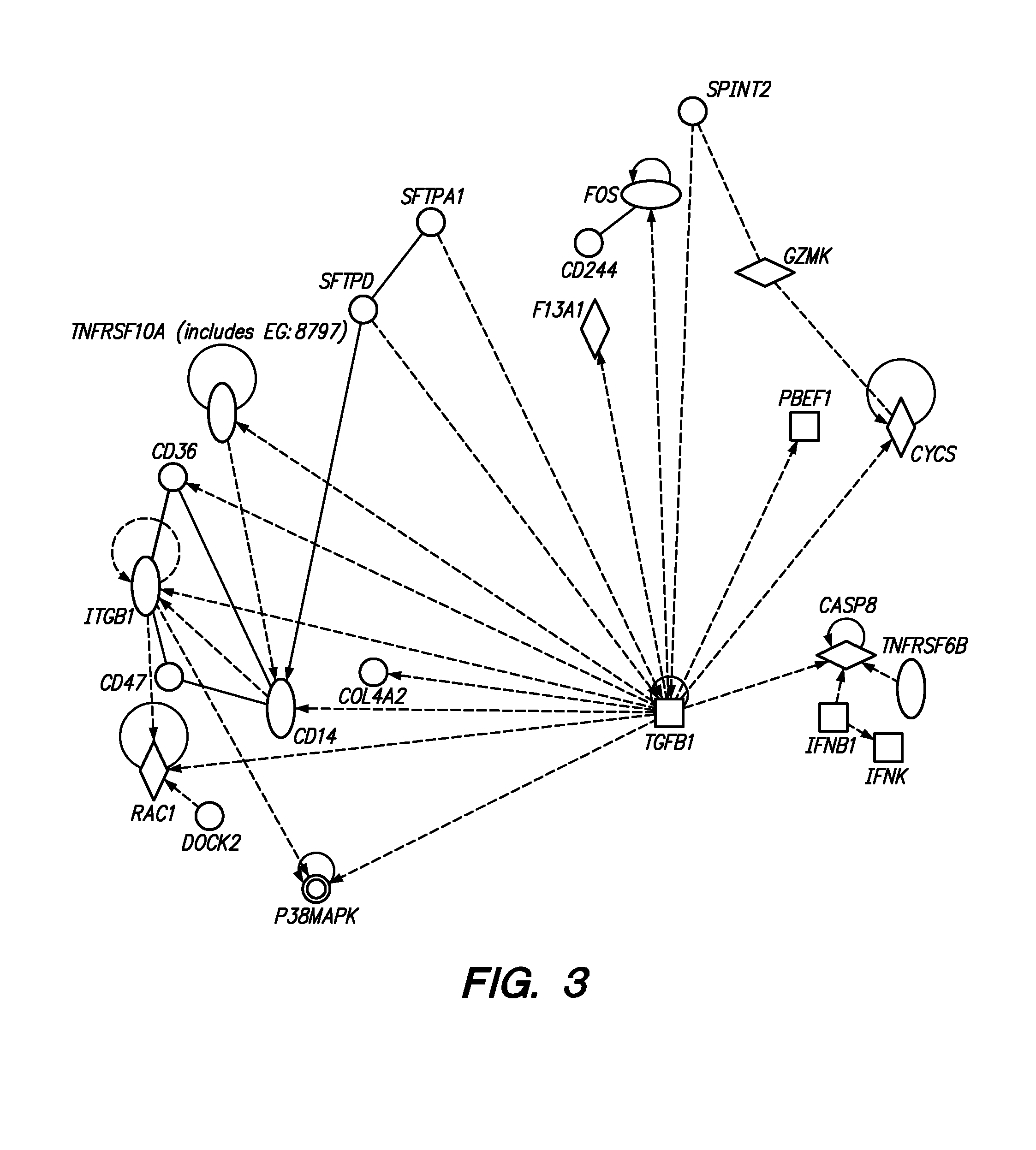 Methods and Compositions for Determining a Graft Tolerant Phenotype in a Subject