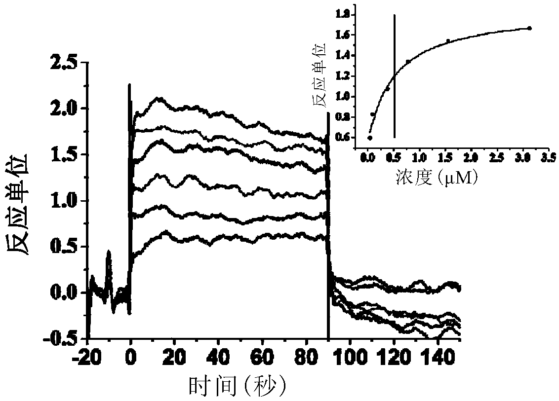 CD47/SIRP (signal regulatory protein) alpha blocking agent and application thereof