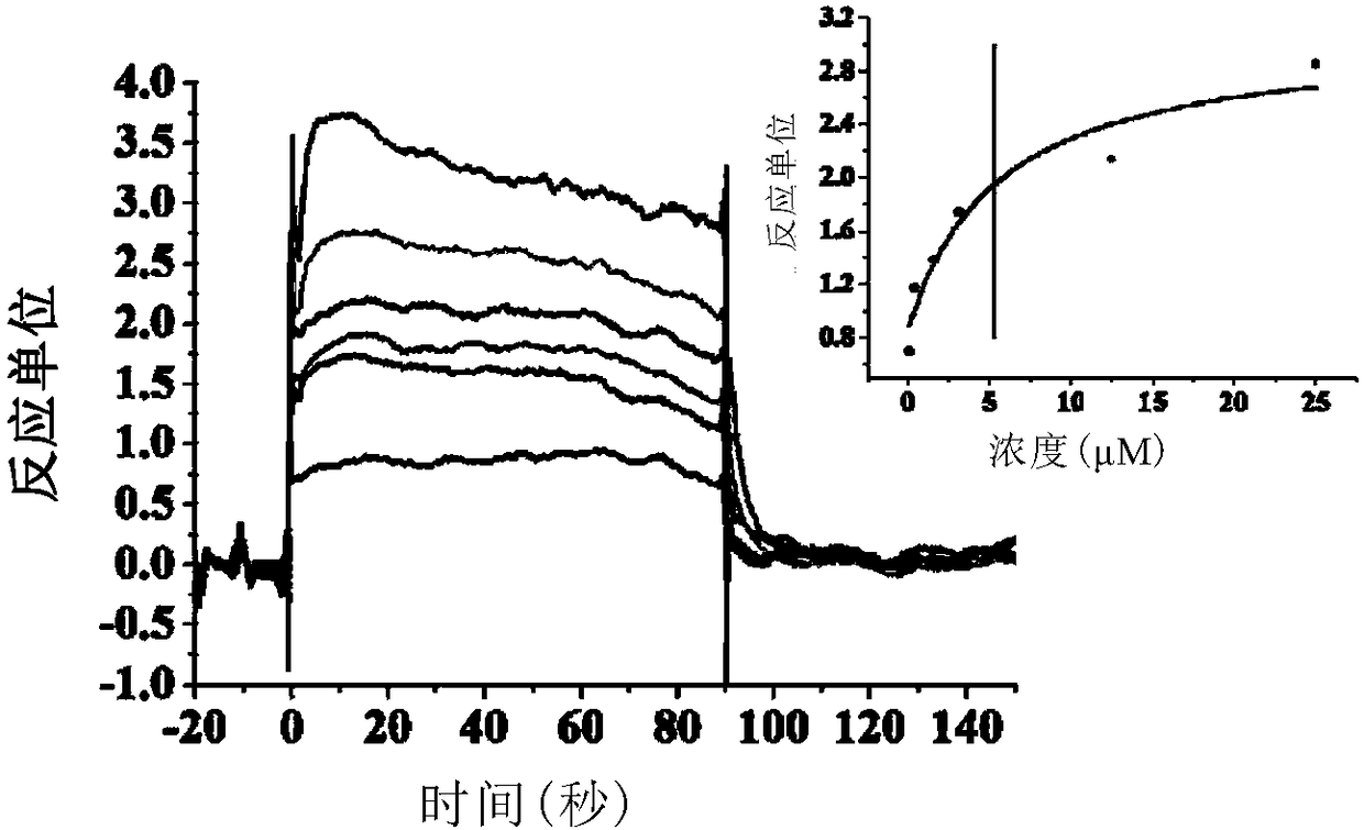 CD47/SIRP (signal regulatory protein) alpha blocking agent and application thereof