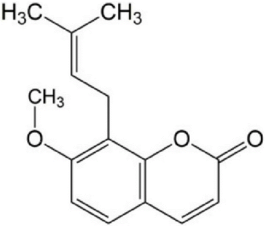 Application of combination of cnidium lactone and baicalin to preparation of drugs for treating pneumonia