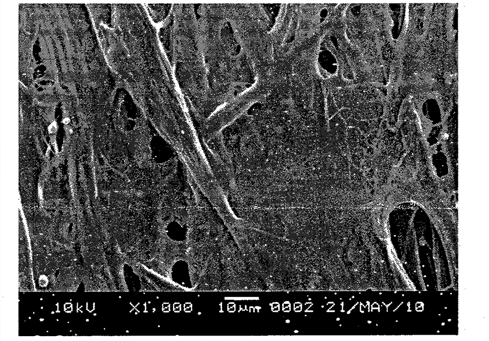 Three-dimensional large-aperture nanoscale fibrous scaffold and method for preparing same