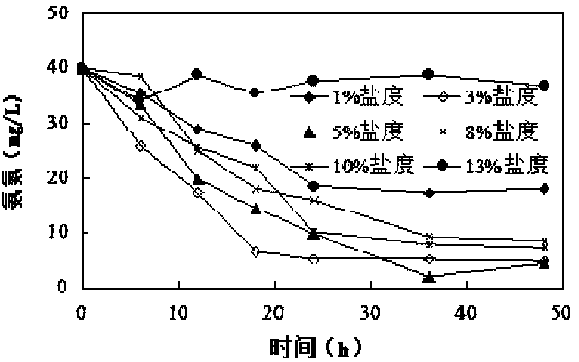 High-salt heterotrophic nitrification-aerobic denitrification dephosphorization brachybacterium and application of brachybacterium in wastewater treatment