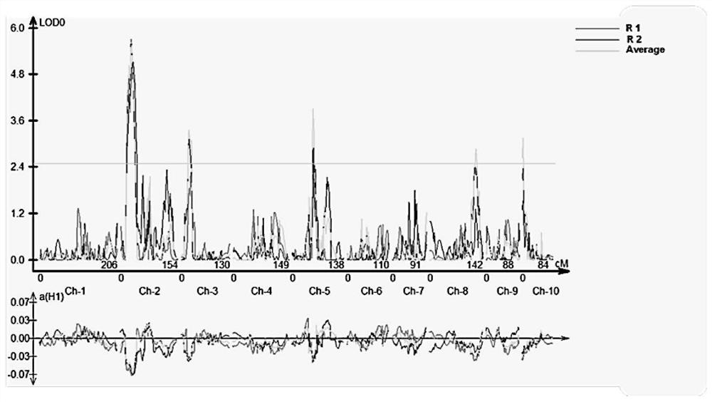 Linked Molecular Markers and Applications of Major QTLs for Resistance to Rough Dwarf Disease in Maize