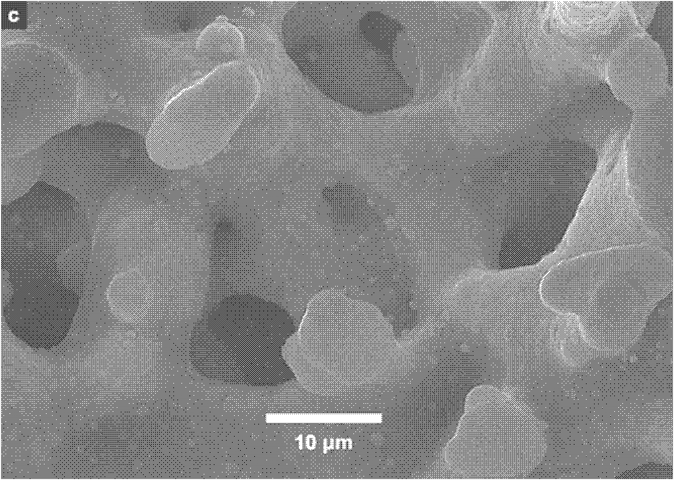 Diplopore-structured arsenic adsorption material and preparation method thereof