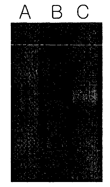 Composition for slimming