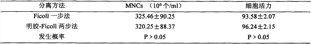 Method for separating bone marrow mononuclear cells