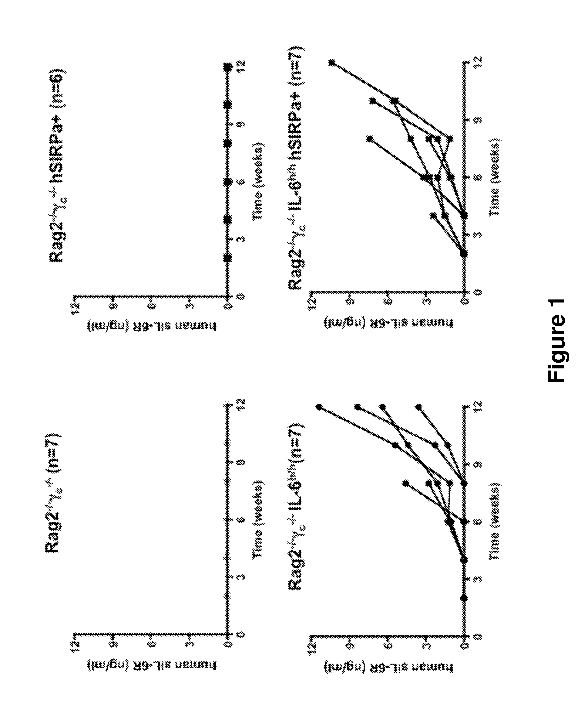 Genetically modified non-human animals and methods of use thereof